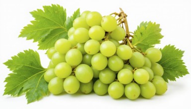 This image showcases a cluster of ripe, green grapes, complete with vibrant green leaves, set