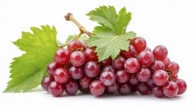A close-up shot showcases a bunch of fresh, juicy red grapes, accompanied by vibrant green leaves,