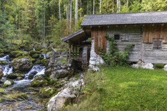 Landscape, Gollinger waterfall, autumn colours, old mill