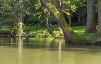 Peaceful sunny park scenery with idyllic small lake at summer time