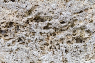 Full frame abstract porous stone detail