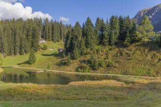 Idyllic scenery around Warth, a municipality in the district of Bregenz in the Austrian state of