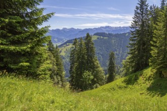 Idyllic scenery around the Immenstaedter Horn, a mountain in the Upper Allgaeu in Bavaria, Germany