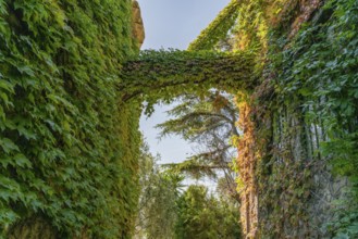 Impression of Bussana Vecchia, a former ghost town of the Liguria region in Italy