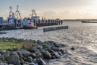 Scenery around Maasholm, a municipality in Schleswig-Holstein, Northern Germany