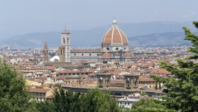 Sunny illuminated panoramic view of Florence in Tuscany Italy