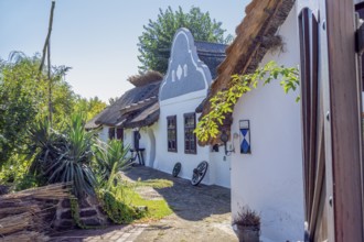 Idyllic scenery with traditional houses in Apetlon, a town in a area named Burgenland in Austria