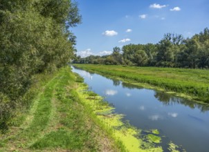 Scenery at the Einserkanal near the famous Bridge at Andau at the border between Austria and
