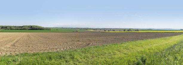Sunny illuminated idyllic rural springtime scenery in Hohenlohe, a district in Southern Germany