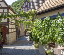 Idyllic scenery at Niedernhall in the Hohenlohe district in Southern Germany at summer time