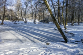 Sunny riparian scenery around a lake at winter time