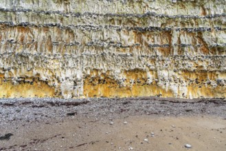Chalk cliff closeup seen near Fecamp, a commune in the department of Seine-Maritime at the Normandy