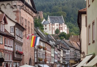 City view of Miltenberg, a town in Lower Franconia, Bavaria, Germany