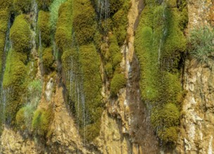 Natural fount at a chalk cliff near Saint Leonard, a commune in the Seine-Maritime department in