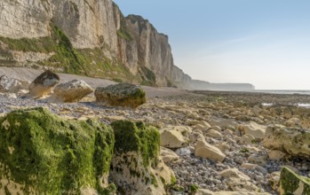 Coastal scenery around Saint Leonard, a commune in the Seine-Maritime department in the Normandy