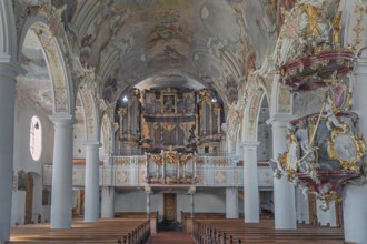 Church of St Gallus and Ulrich, nave with organ loft, Kisslegg, Allgäu, Baden-Württemberg, Germany