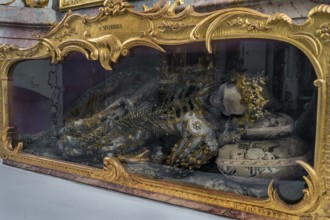Church of St Gallus and Ulrich, relic of St Severinus, Kisslegg, Allgäu, Baden-Württemberg, Germany