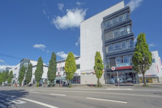 Blue sky over the Forum Allgäu with columnar oaks (Quercus robur Fastigiata), Bahnhofstraße,