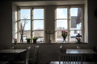 Daylit window view with candlestick and tulips, enhancing a cozy interior atmosphere in