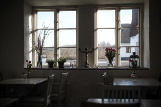 Dimly lit cozy interior with tulips and plants by a window, creating a warm atmosphere in