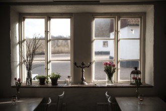A window with indoor plants and a candlestick, reflecting warm sunlight and cozy interior in
