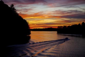 A boat creates ripples in a lake at sunset, with vibrant colors and silhouetted trees in Muskoka,