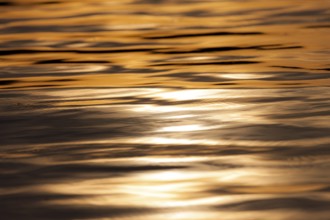 A tranquil scene of golden sunset reflections on water, with gentle ripples creating calm in
