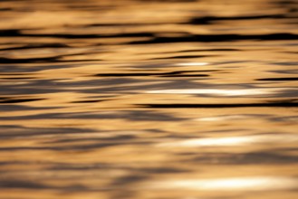 Calm water with ripples reflecting a warm orange sunset, creating a peaceful atmosphere in Muskoka,