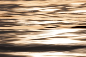 Golden light reflects on water, creating a serene ripple pattern as the sun sets in Muskoka,