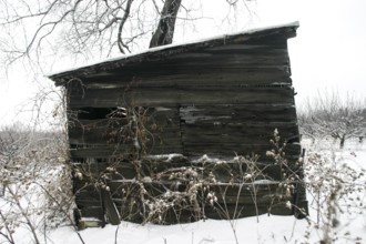 Old wooden cabin surrounded by snow and bare branches evokes desolation in London, Ontario, Canada,