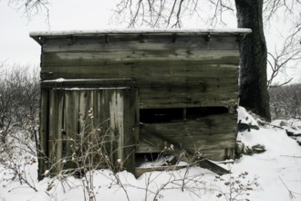 Weathered wooden cabin sits idle in a snowy landscape, conveying abandonment in London, Ontario,