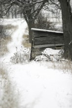 A wooden shack next to a snow-covered path, flanked by trees in London, Ontario, Canada, North