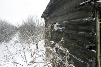 Wooden shack in a snowy, rural landscape, evoking isolation and decay in London, Ontario, Canada,