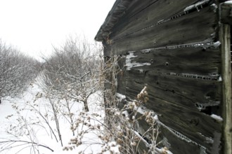 Close view of weathered wooden cabin amid a snowy landscape, atmospheric cold in London, Ontario,