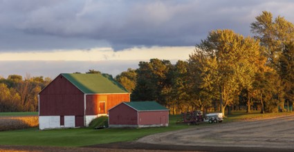 Red barn and trees glow in the golden sunset light in St. Thomas, Ontario, Canada, North America