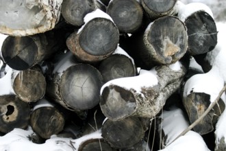 Stacked logs covered with snow in a wintry setting in London, Ontario, Canada, North America