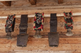 Cow, cowbells and bells, traditional bells, mountain pasture, cultural heritage