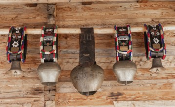 Cow, cowbells and bells, traditional bells, mountain pasture, cultural heritage