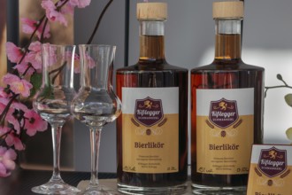 Shop window with bottles and glasses, Kisslegger beer liqueur, Kisslegg, Allgäu, Baden-Württemberg,
