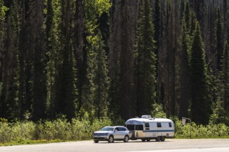 An Airstream travel trailer parked with a car by a dense forest, highlighting travel adventure in