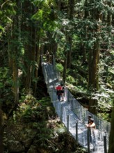 People crossing a suspension bridge in a forest inside Cascade Falls Regional Park, Deroche,