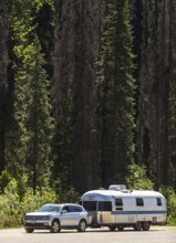An Airstream travel trailer parked with a car by a dense forest, highlighting travel adventure in
