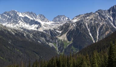 Snow-covered mountain peaks with dense forest in the foreground in Glacier National Park, near