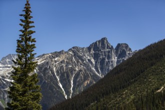 Mountain peaks with patches of snow rising above a rich evergreen forest as viewed along the Trans