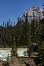 Mountain landscape with a river cutting through dense forest inside Yoho National Park, in British