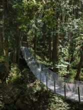 Narrow suspension bridge through dense forest inside Cascade Falls Regional Park, Deroche, British