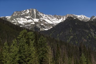 Mountain view with partial snow coverage and lush green foreground near Selkirk, British Columbia,