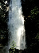Flowing waterfall with trees and rocks in forest inside Cascade Falls Regional Park, Deroche,