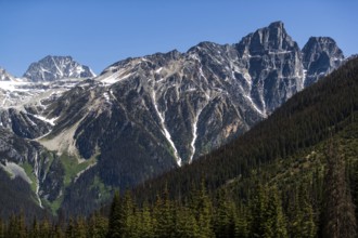 Mountain range with snow-covered peaks and vast forest under a clear sky as viewed along the Trans