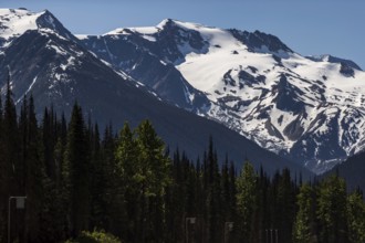 Expansive glacier amid mountains, bordered by forested area under blue sky as viewed along the